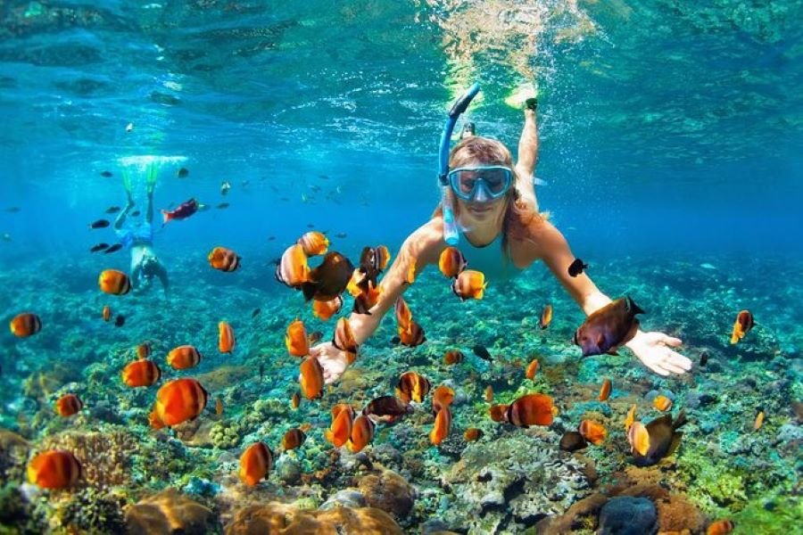 Lombok Snorkeling Trip Tetebatu