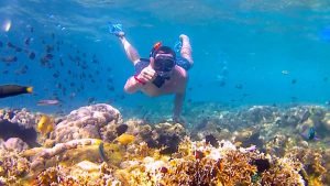 Lombok Snorkeling Trip for Solo Traveler