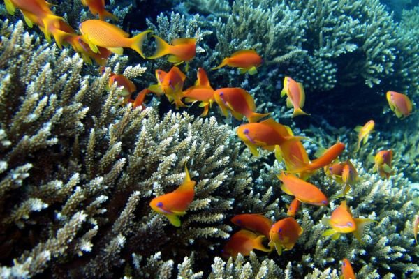 snorkeling family tour in Lombok