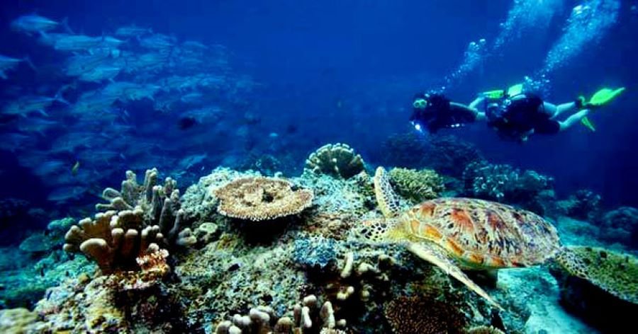 Gili Trawangan dive