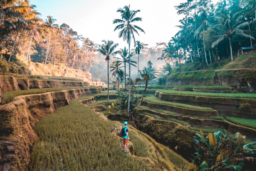 Lombok Round Trip for Solo Traveler
