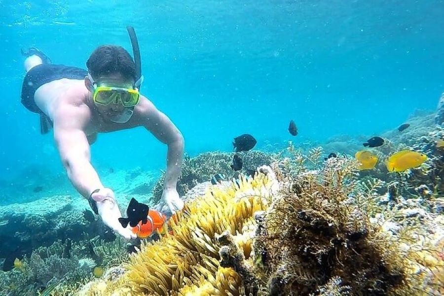 Lombok Snorkeling Trip for Adventure