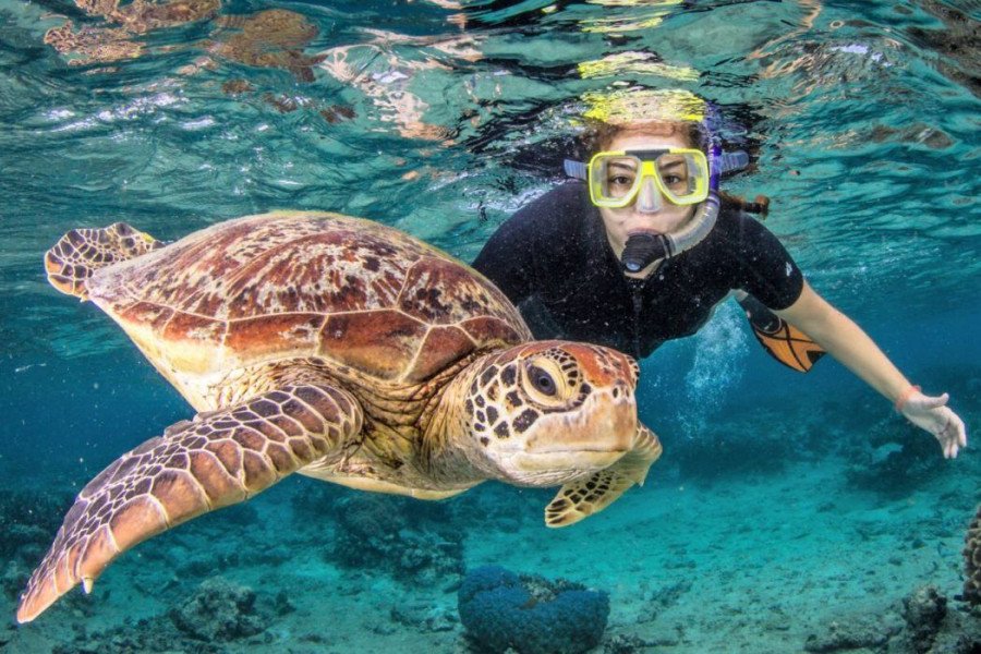Lombok Snorkeling Trip for Nature Lovers