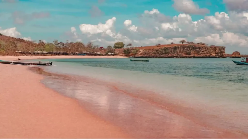 Pink Beach Lombok Why Pink