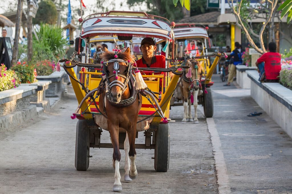 Gili Meno horse cart