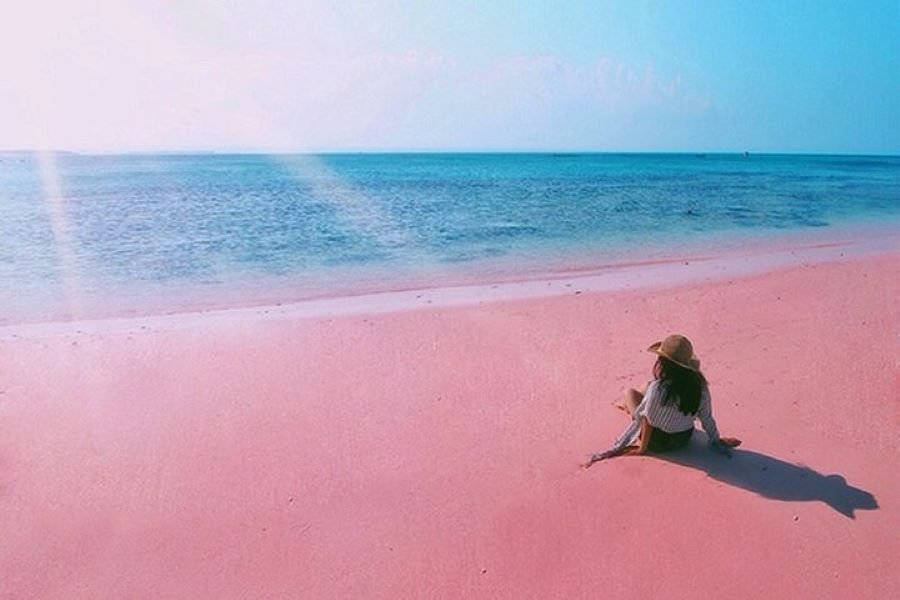 open trip Pink Beach Lombok