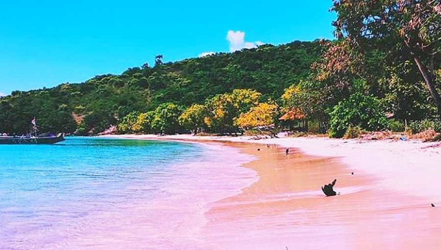 Lombok ke Pink Beach