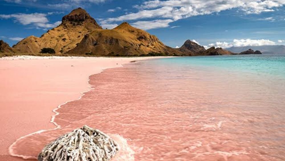 Lombok ke Pink Beach