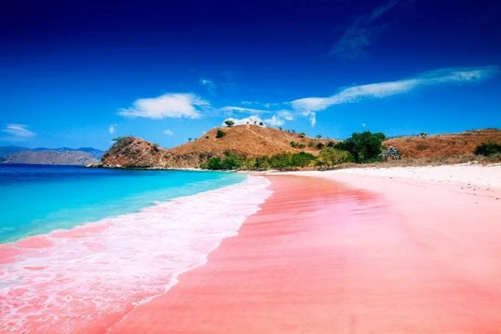Pink Beach South Lombok