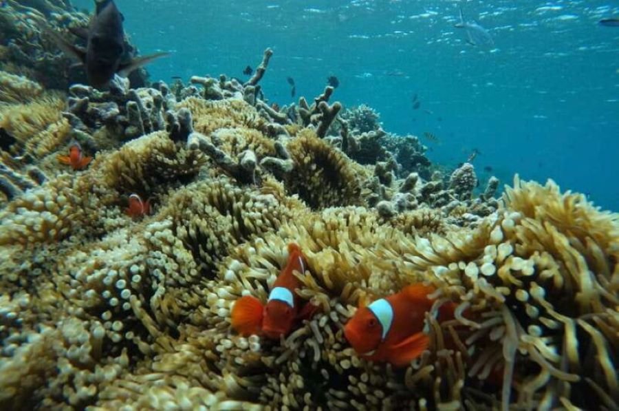 Gili Gede dive sites