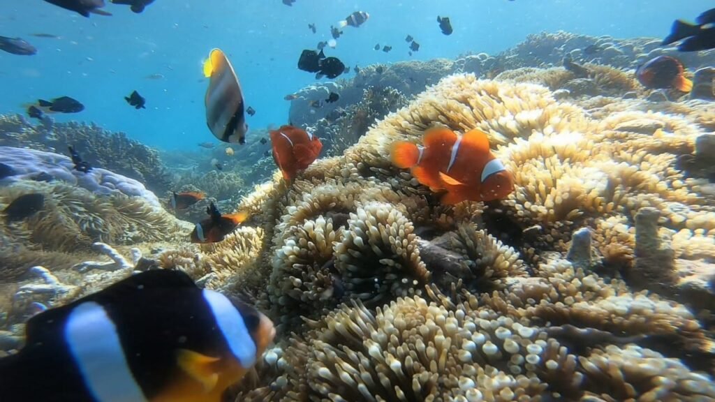 Gili Gede dive sites
