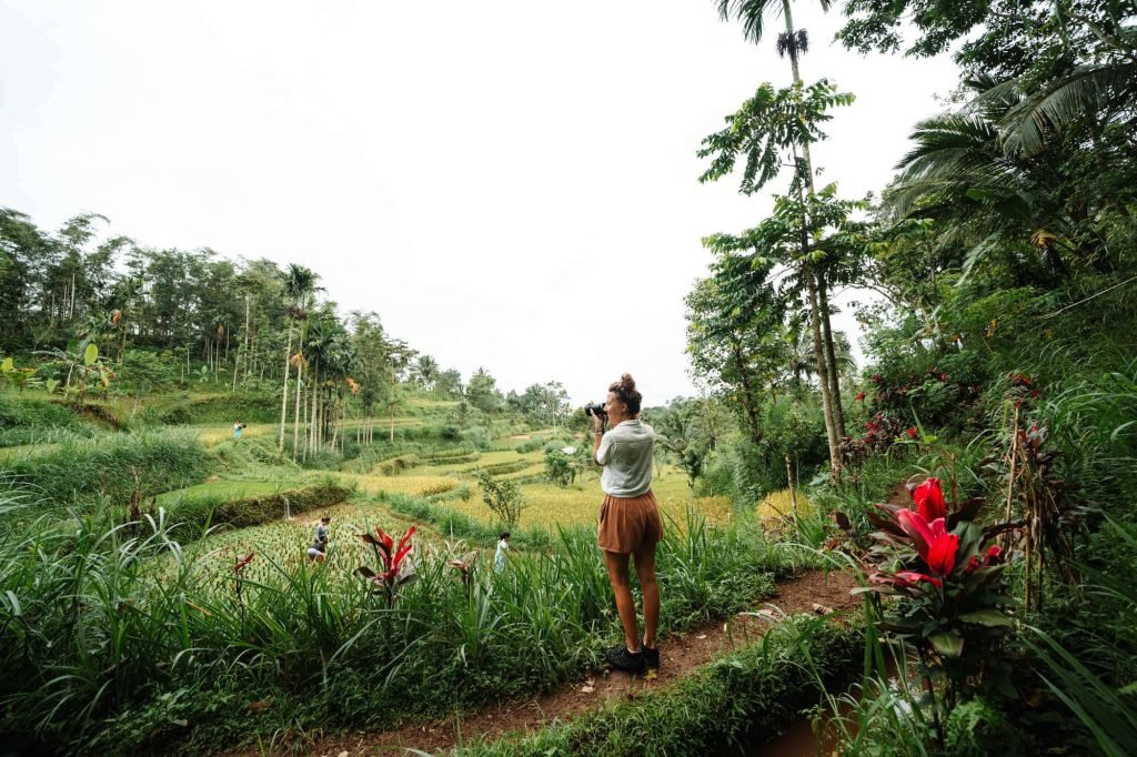 Tetebatu Garden