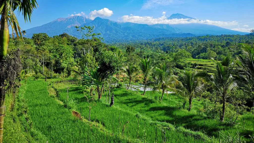 tetebatu hotel