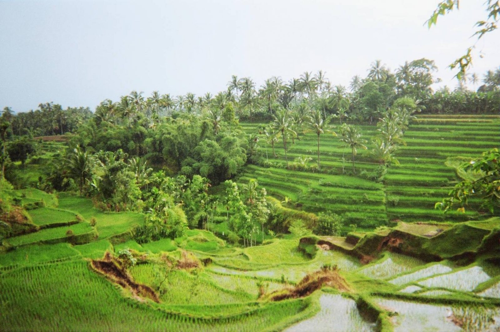 Tetebatu on Lombok