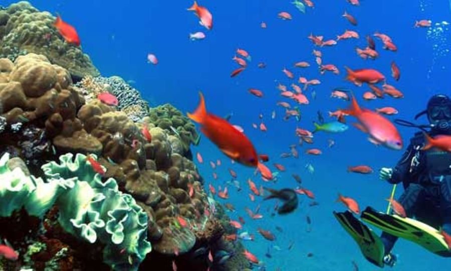 Gili Tepekong