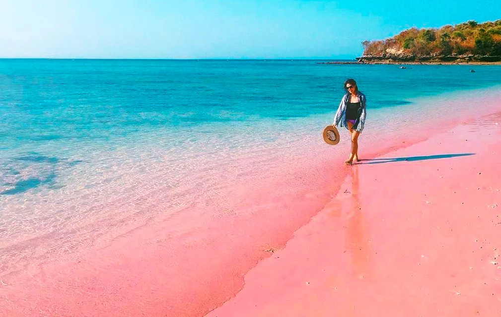Pink Beach Lombok wetter