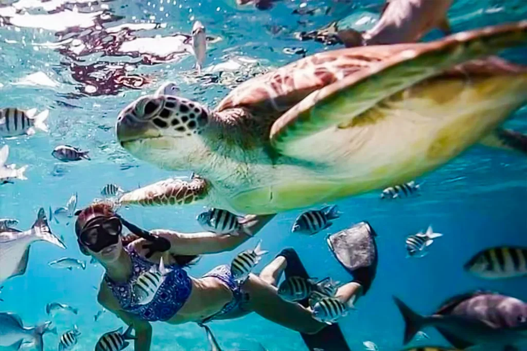 Gili Air Gili Meno