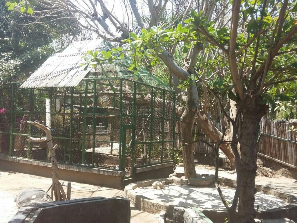Gili Meno Zoo