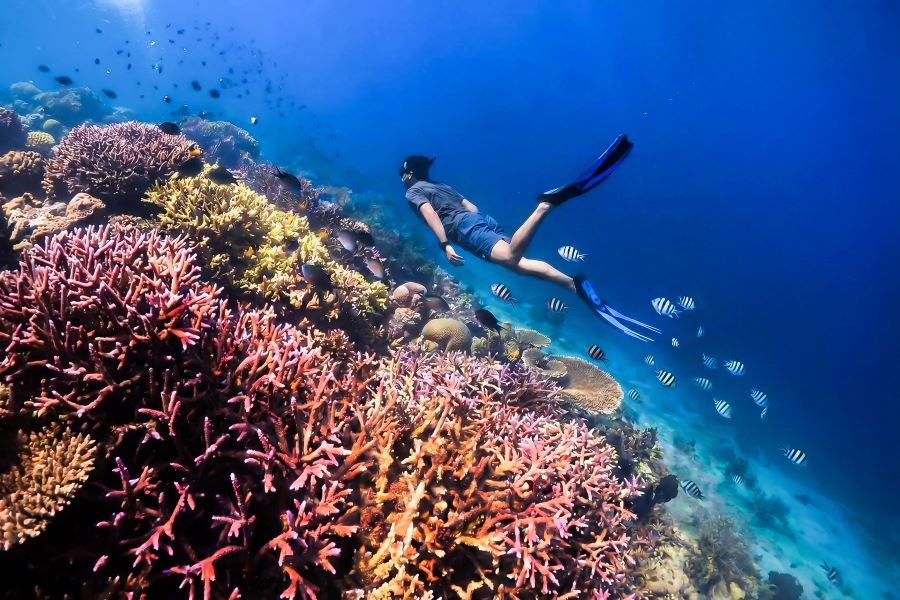 Gili Nanggu excursion