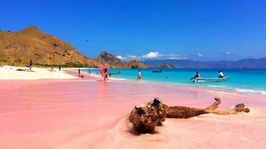Pink Beach Lombok come arrivare