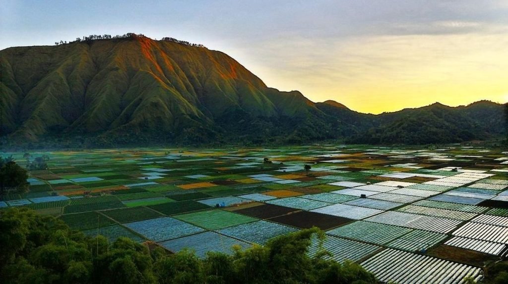 Sembalun Lawang in which state