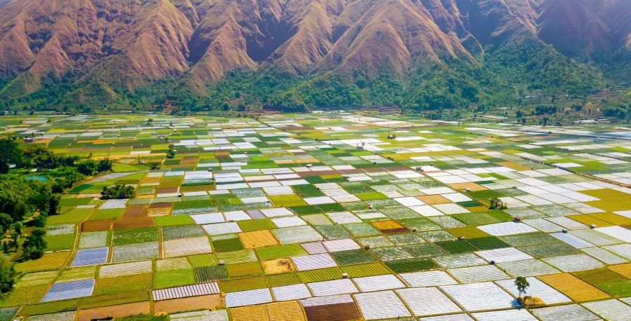 Sembalun Valley Lombok