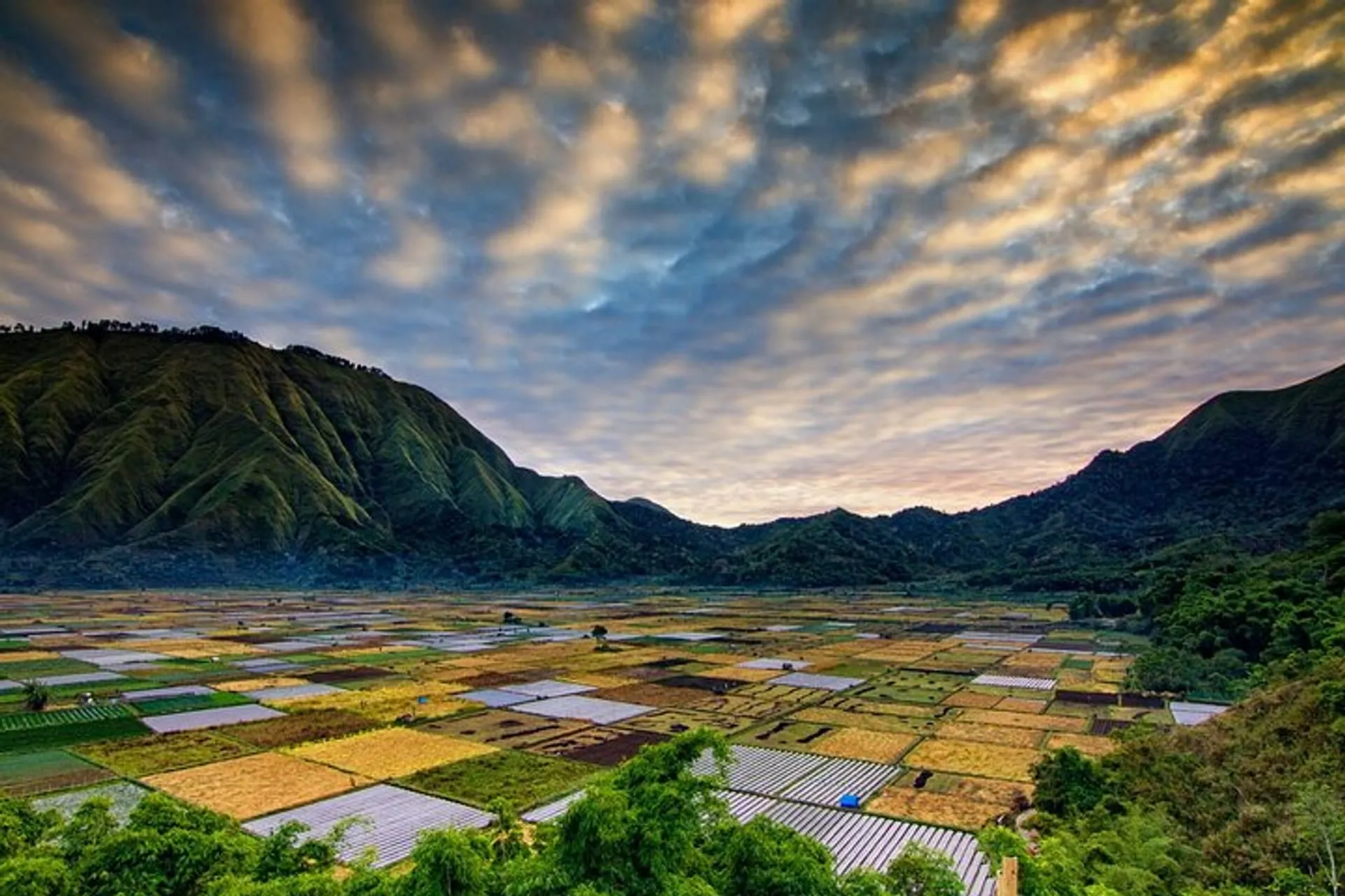 Sembalun Valley Lombok