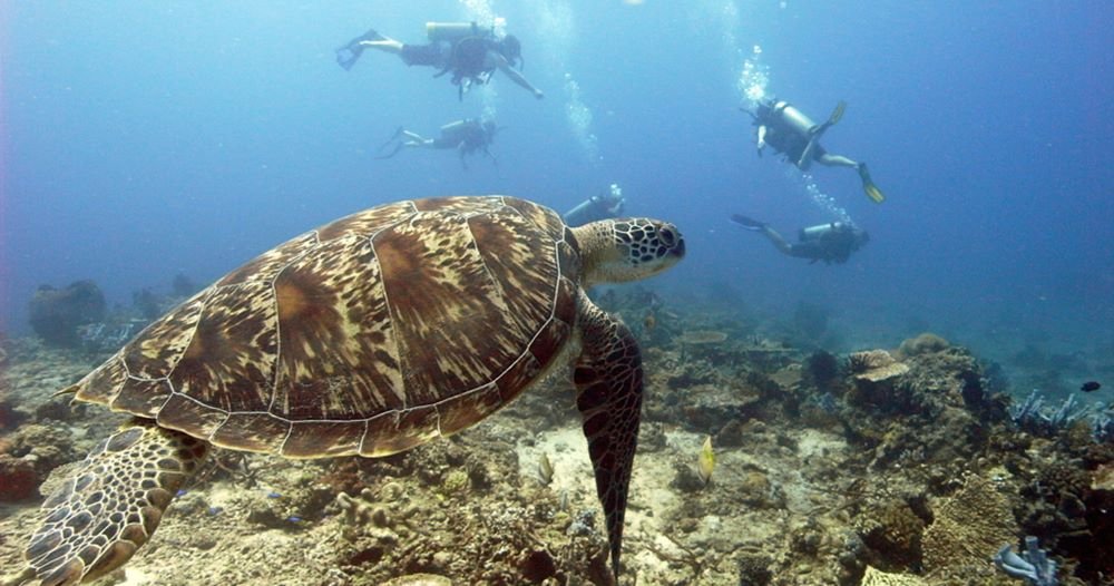 Gili Trawangan dive sites