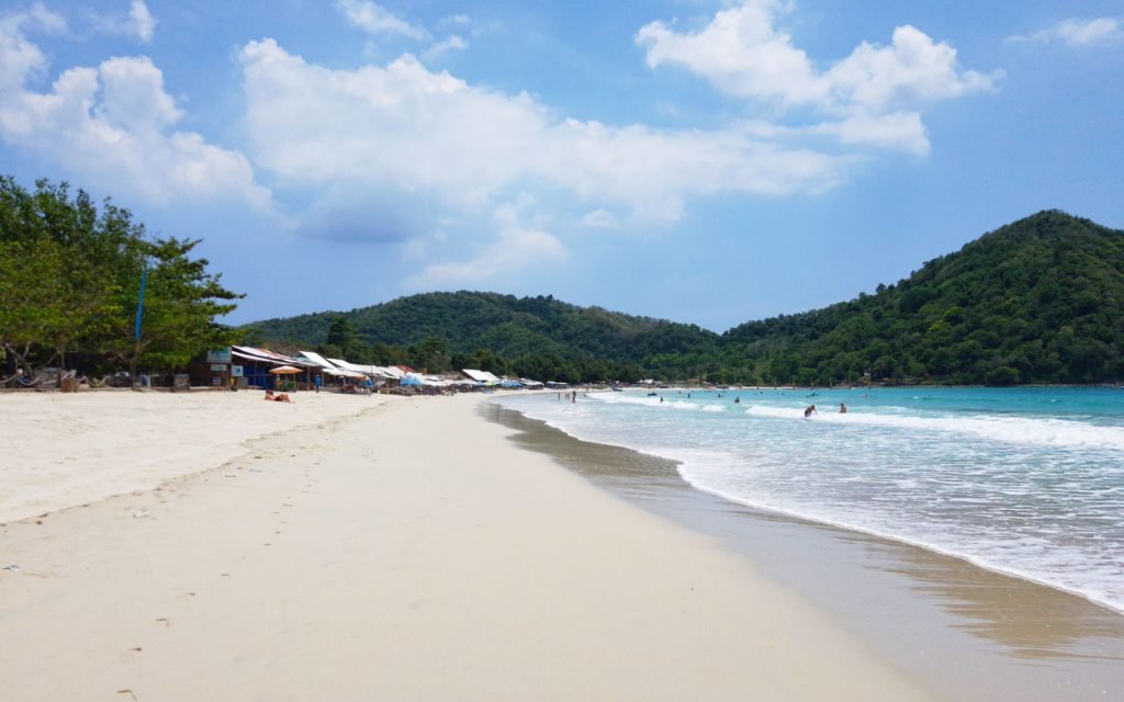 Selong Belanak beach cows