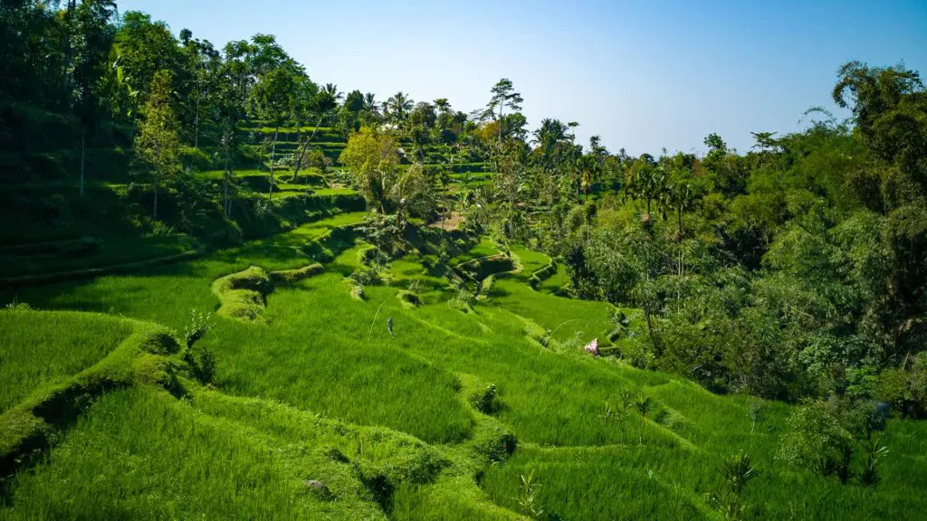 Tetebatu City