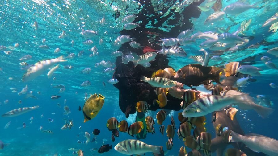 things to do Kuta Lombok