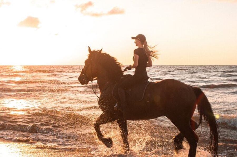 Gili Air horse riding