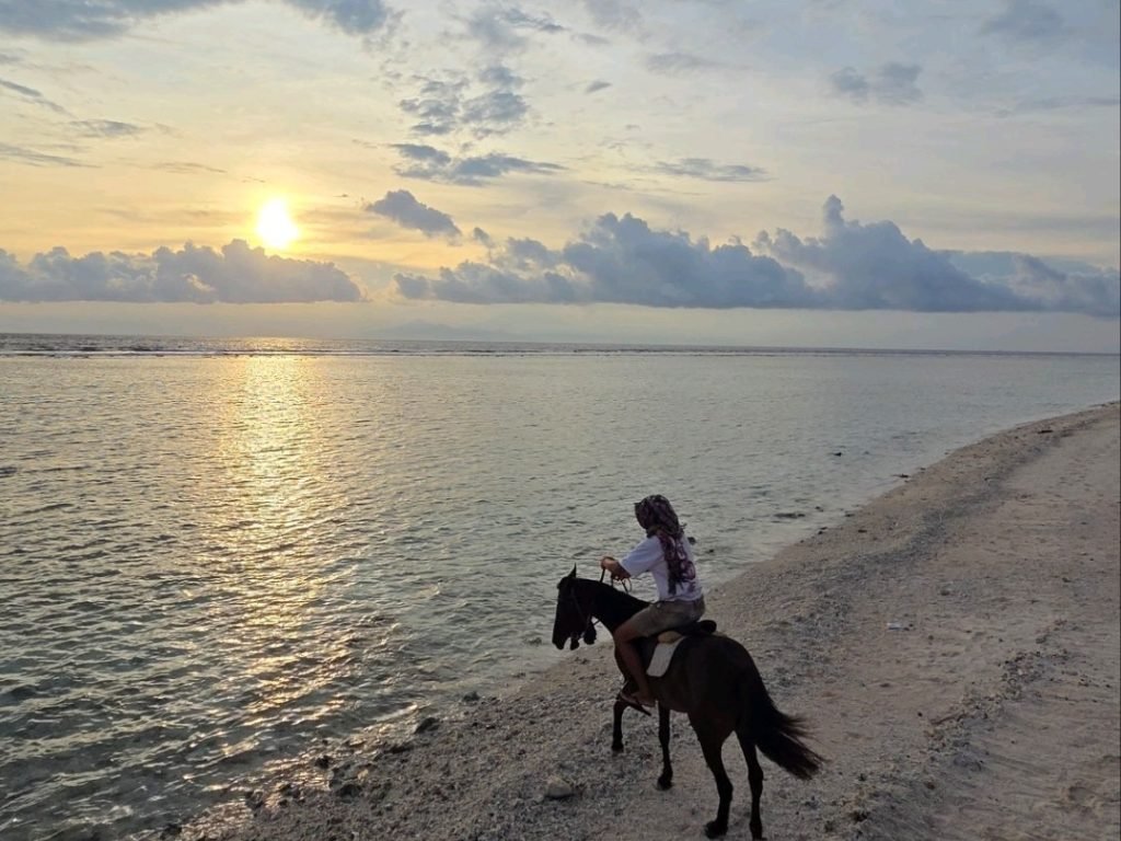Gili Air horse riding