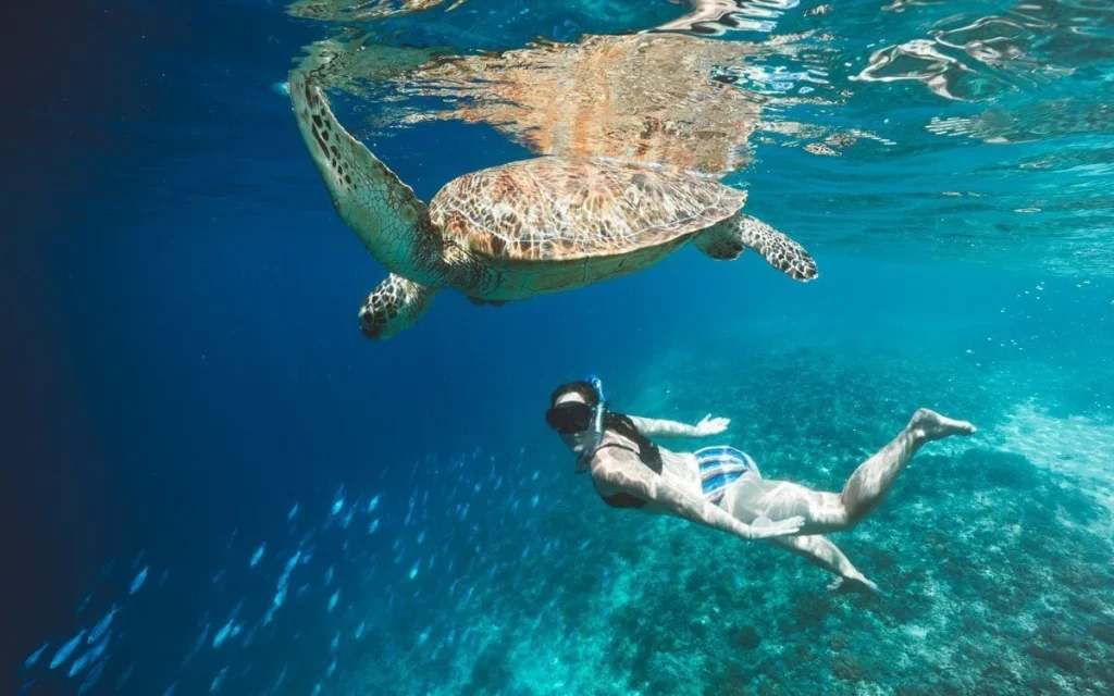 Gili Trawangan Beaches