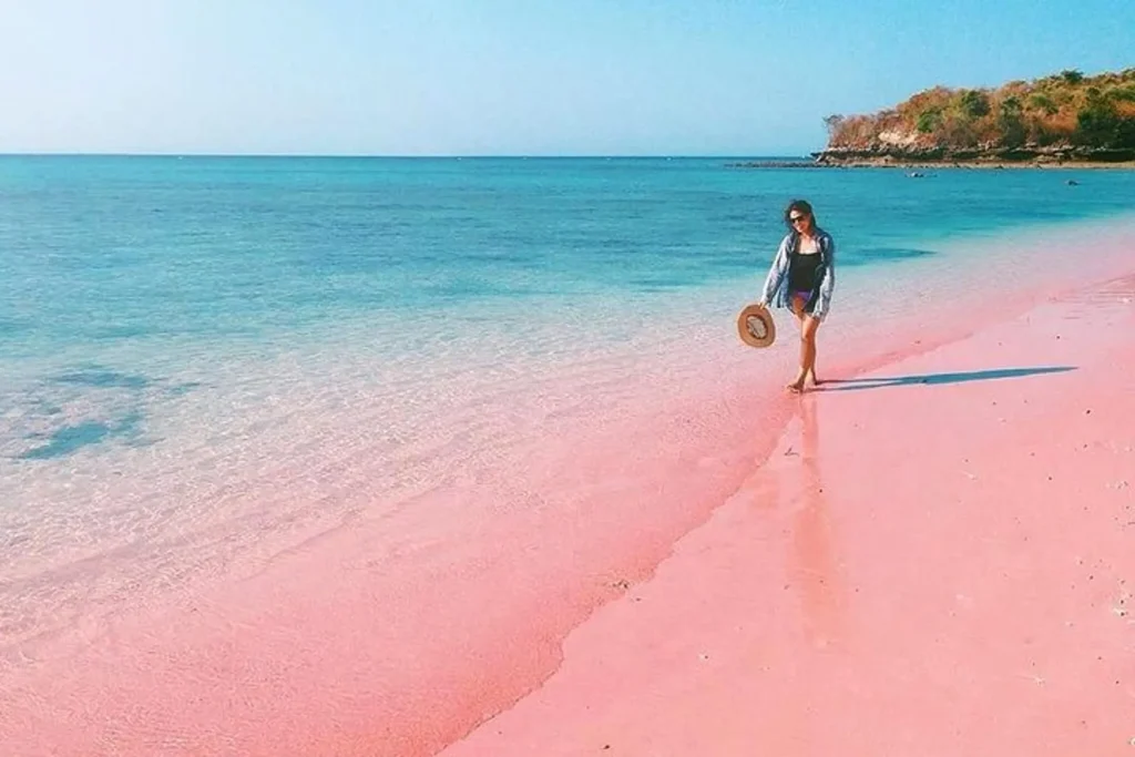 Pink Beach Lombok opiniones