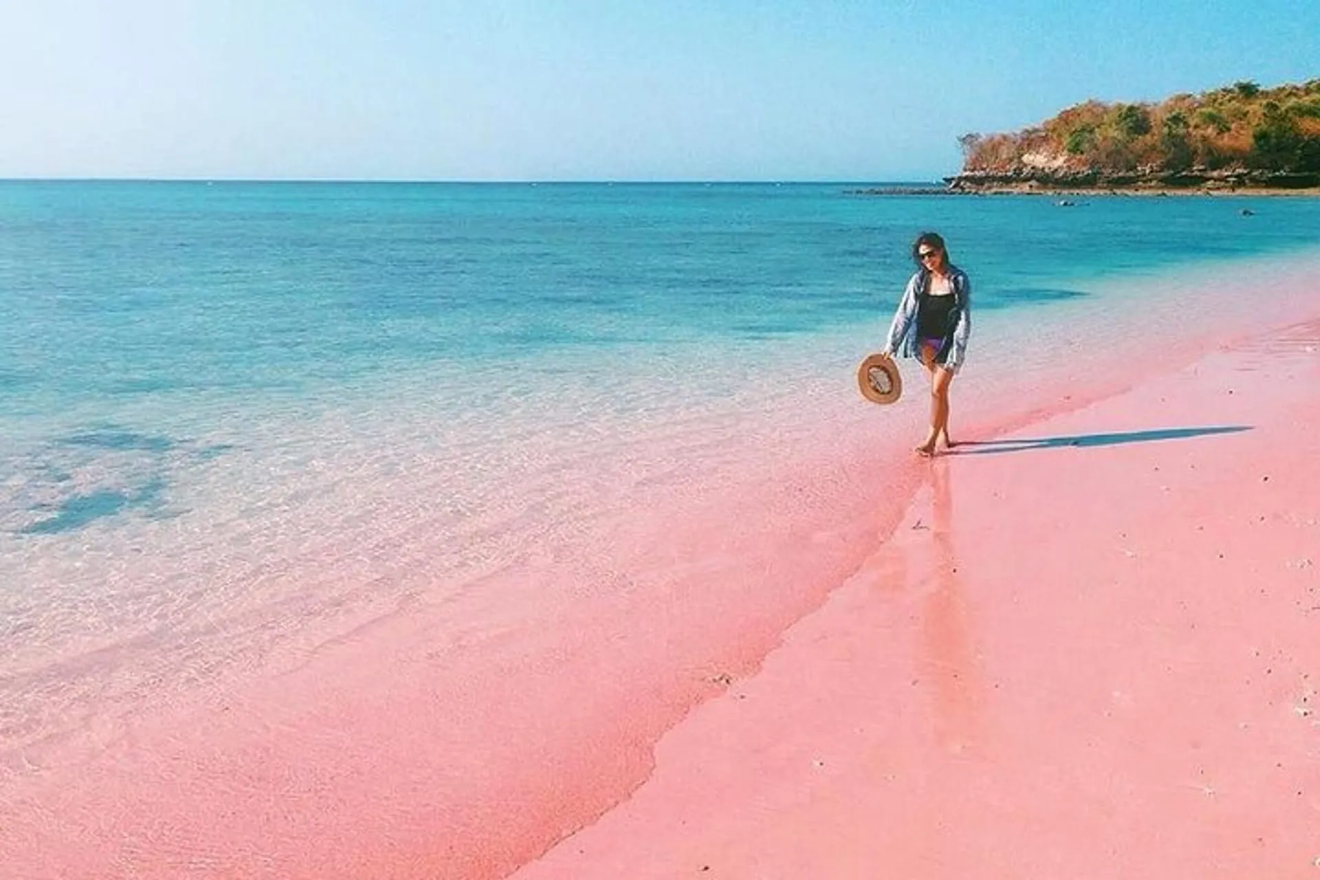 Pink Beach Lombok opiniones