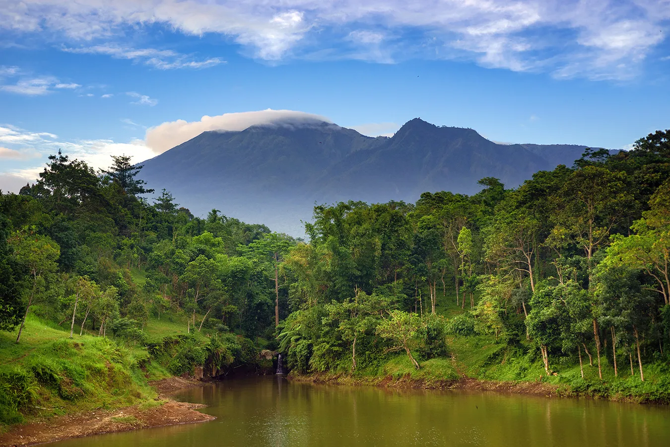 Tetebatu jungle