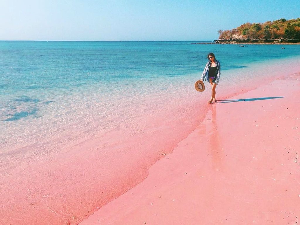Keunikan Pink Beach Lombok