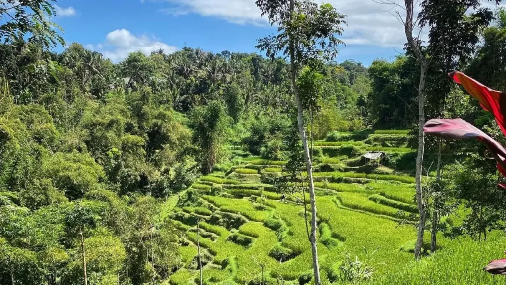 Selong Belanak to Tetebatu