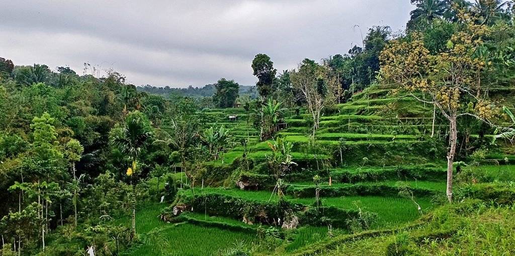 Tetebatu Gowa