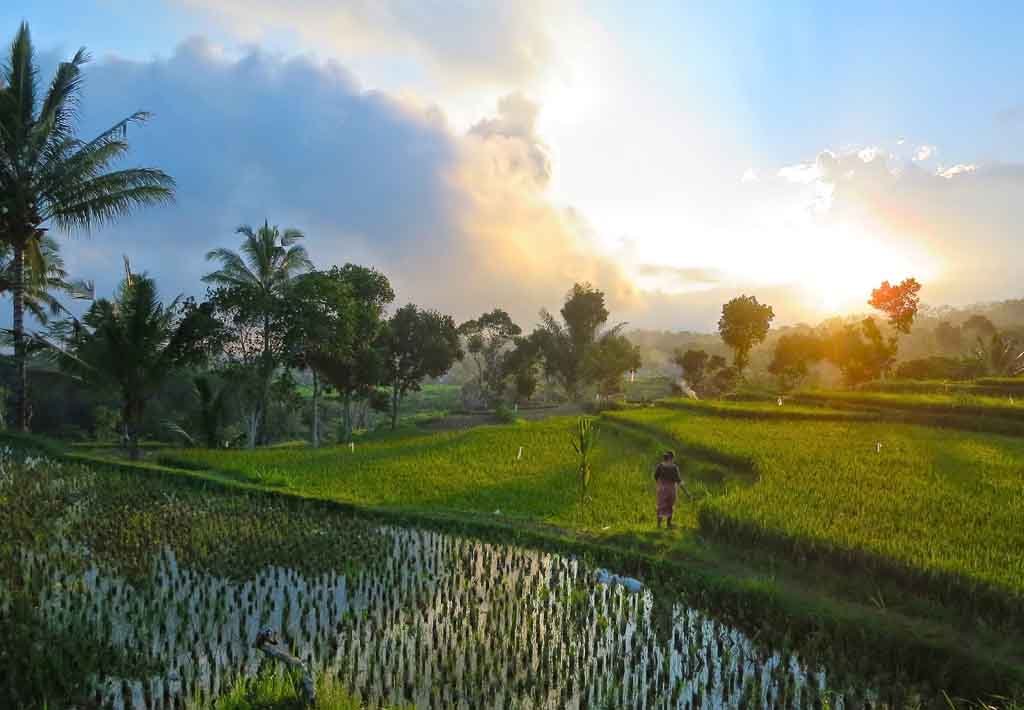 Tetebatu Gowa