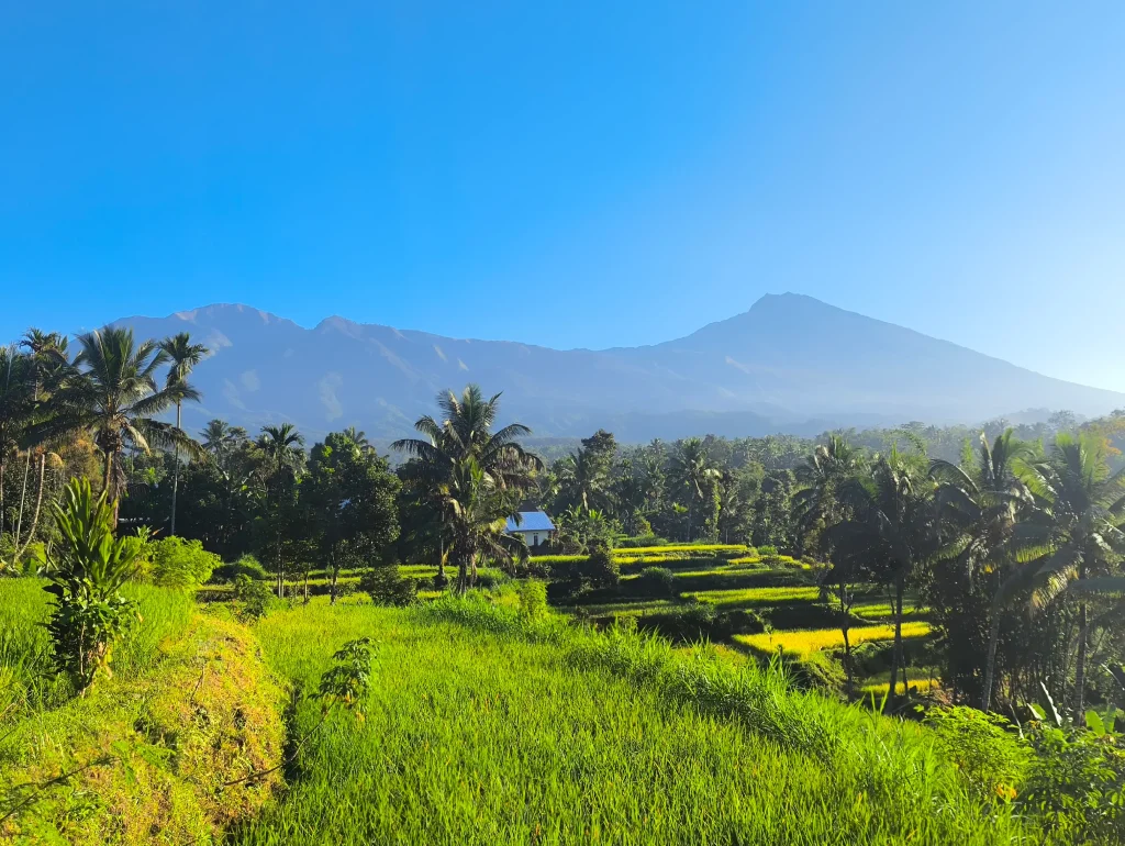 Tetebatu Homestay