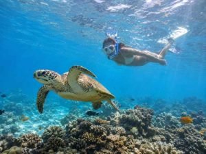 Gili T underwater snorkeling with a sea turtle above a coral reef