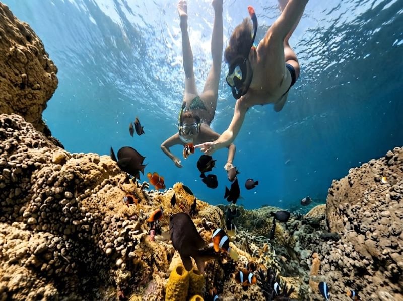 Lombok snorkeling trip