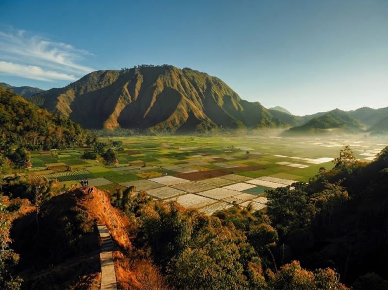 Sembalun Lombok Que Faire