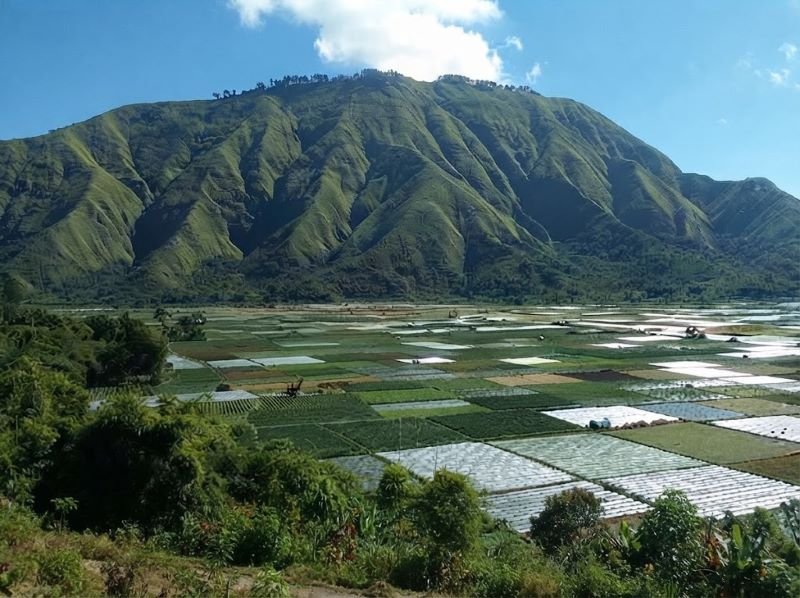 Sembalun Lombok que faire