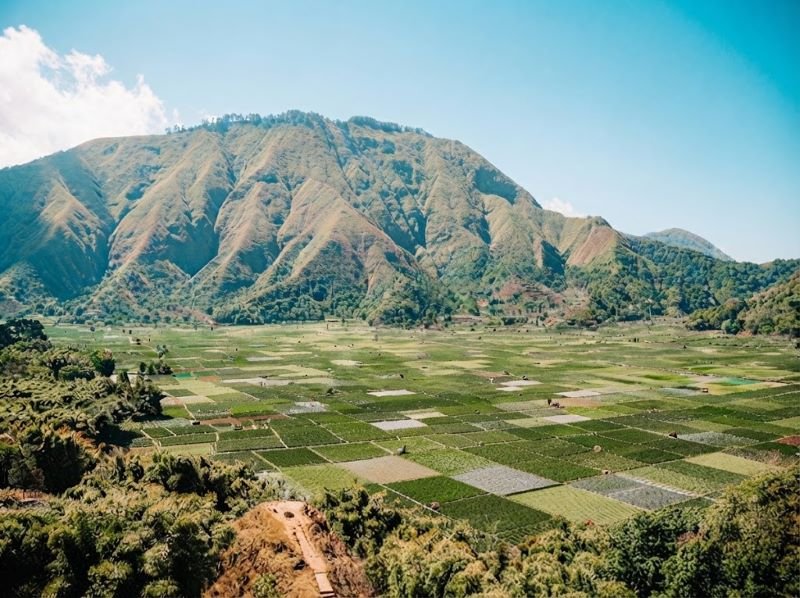 Sembalun Lombok que faire