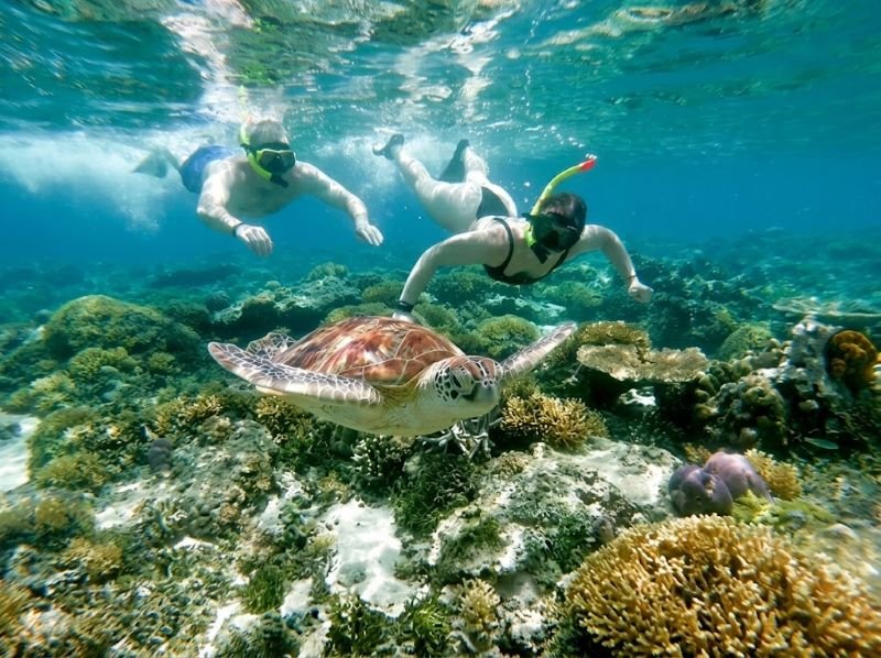 private Gili Snorkeling tour