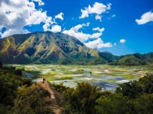 purpose of Lombok