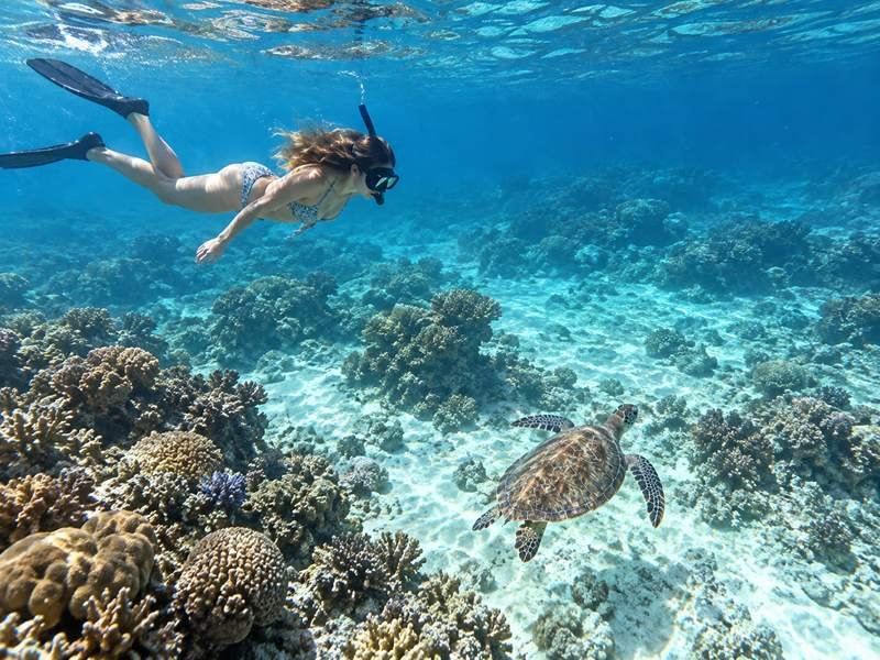 Gili Air snorkeling with sea turtle and coral reef